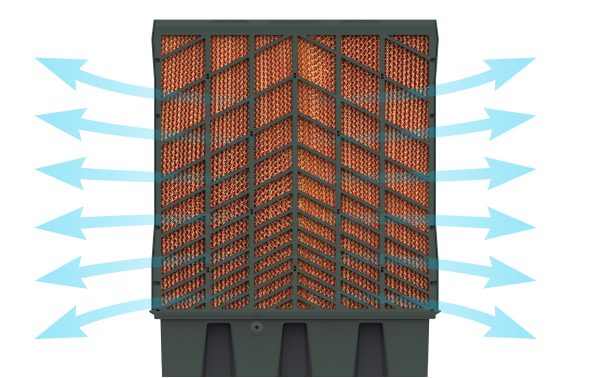 High-Efficiency Cellulose Pad