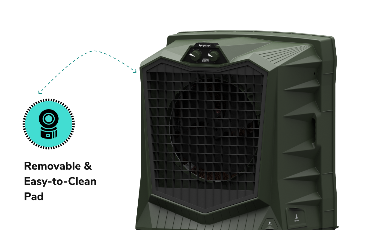 Removable & Easy-to-Clean Pad