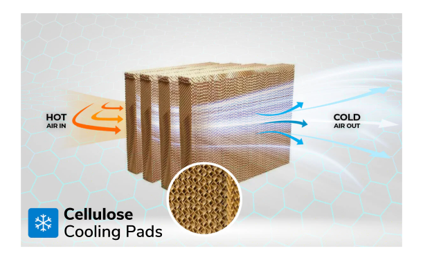 4-Side high efficiency cellulose pads