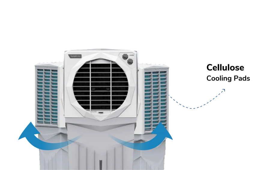 New Generation Cellulose Pads