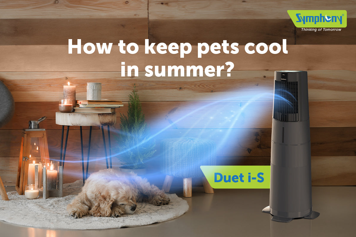 How to Keep Pets Cool in Summer?