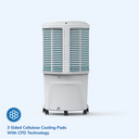 Winter 80B | BLDC Air Cooler | 80L Water Tank