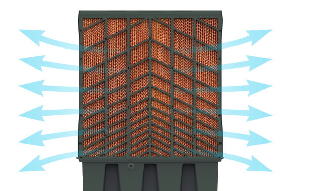 High-Efficiency Cellulose Pad