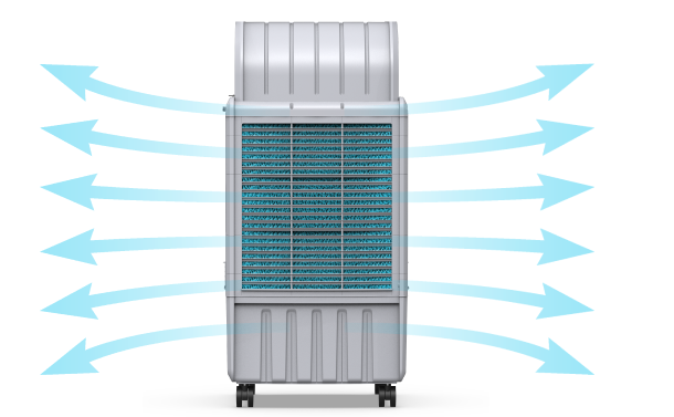CFD-Assisted Airflow