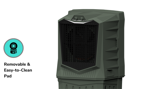 Removable & Easy-to-Clean Pad