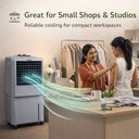 HiFlo 27 | Household Indoor Air Cooler | Inverter-compatible