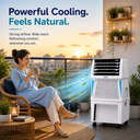 Touch 35 Personal Air Cooler with Full Function Remote