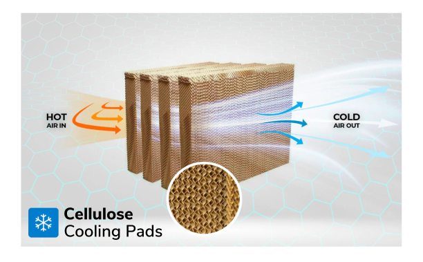 New Generation Cellulose Cooling Pads