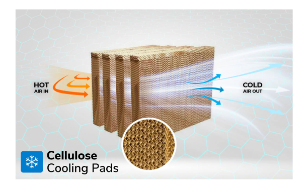 4-Side high efficiency cellulose pads